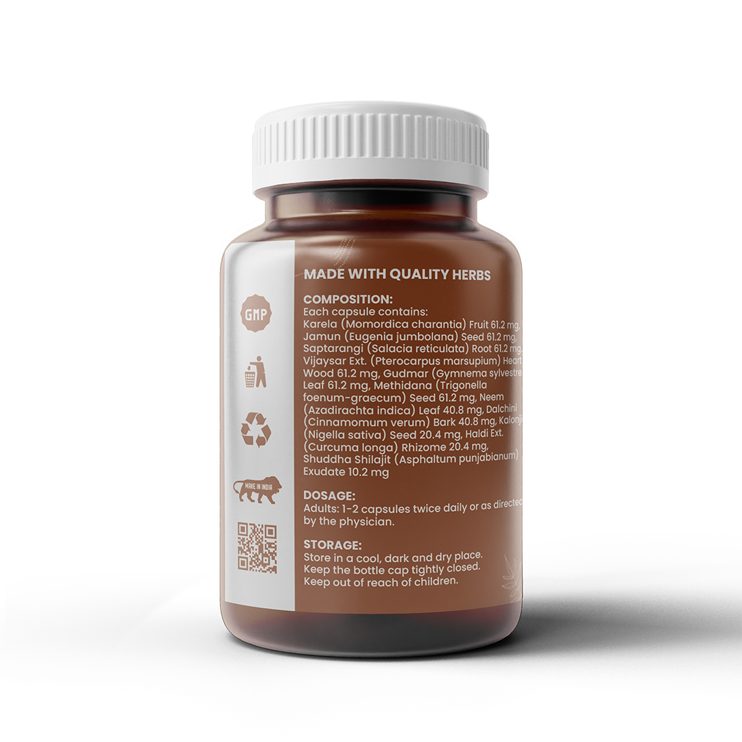 Healthcom Diabo-Fix Capsules | Ayurvedic Blood Sugar Support & Glucose Control | 60 Caps